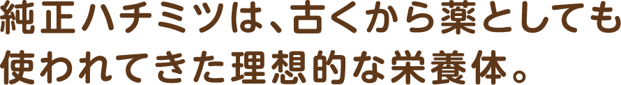 純正ハチミツは、古くから薬としても使われてきた理想的な栄養体。