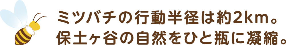 ミツバチの行動半径は約2km。保土ヶ谷の自然をひと瓶に凝縮。